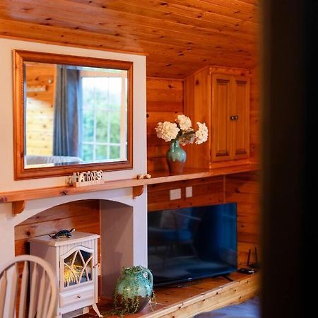 Rural Log Cabin In Snowdonia Near Coed Y Brenin By Seren Short Stays Ffestiniog ภายนอก รูปภาพ
